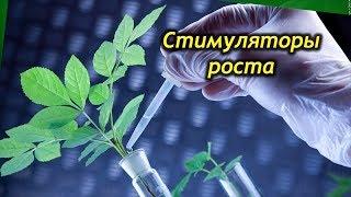 Стимуляторы роста комнатных цветов – все, что нужно знать цветоводу!