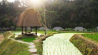 Mandapa, A Ritz Carlton Reserve