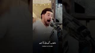 syed Farhan ali waris