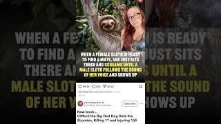 Just kidding, I’m married. Please no more d pic DMs…#sloth #nature #animals #funny #comedy
