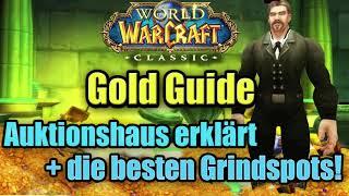 Die besten Wege in WoW Gold zu machen! AH erklärt + alle guten Grindspots / WoW Classic