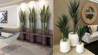 100 Modern indoor plants decor ideas 2023