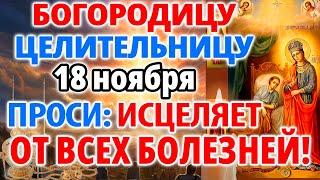 16 ноября ПРОСИ СЕГОДНЯ ИСЦЕЛЯЕТ ОТ ВСЕХ БОЛЕЗНЕЙ! Молитва Богородице Целительница. Православие