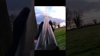 Pigeon Hunting With Double Barrel Gun #hunting #охота #chasse #pigeons