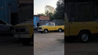 PERFECT TRUCK FORD F100