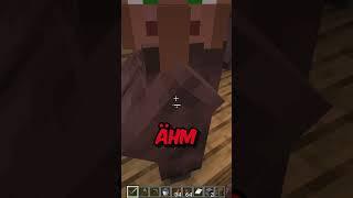 Ich wollt doch nur, dass Dorf Looten....  #minecraft #gaming #shorts