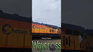 Shiny Chessie System CSX 1973 on its first train in the rainy weather