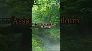 Assalamualaikum #allah #islam #shortvideo #shayari #short #shorts #viral #trending