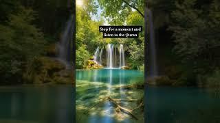 #quran #peace #muftimenk #blessings #rose #sky #night #day #ayah #sign #waterfall #garden #recite