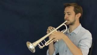 'Aquaman' Trumpet Highlights performed by Trumpet Brain