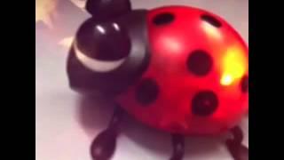 cute ladybird speaker