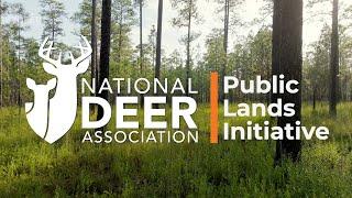 NDA Works to Improve Public Land for Deer Hunting and Conservation