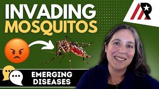 Hazards Beyond Climate: Mosquitos & Infectious Disease