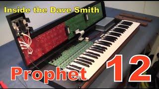 MF#5 inside the Dave Smith Prophet 12 synthesizer keyboard