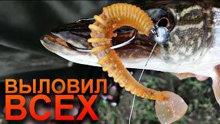 ЩУКА В ИЮНЕ НА СПИННИНГ. ЩУКА ЛЕТОМ 2022. РЫБАЛКА НА СПИННИНГ C БЕРЕГА. PIKE FISHING 2022