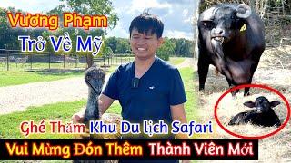 Vương Phạm Trở Về Mỹ Ghé Thăm Khu Du Lịch Safari – Vui Mừng Đón Thêm Thành Viên Mới Cho Vườn Thú