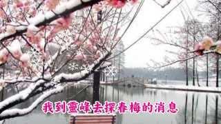 包美聖-梅雪爭春