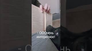 Стаффи Элли и книги. Собака читает? #shorts #собака #dog