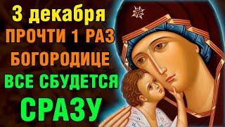 25 ноября ЭТА МОЛИТВА МЕНЯЕТ ЖИЗНЬ! Акафист Богородице Милостивая. Православие