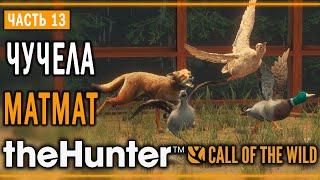 theHunter Call of the Wild #13  - Резкий Взлёт - Кoмпозиции из Чучeл