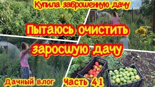 КУПИЛА ЗАБРОШЕННУЮ ДАЧУ#41|СПАСАЮ СВОЙ ЗАРОСШИЙ ОГОРОД/ВСЕ ЗАРОСЛО СОРНЯКАМИ/ДАЧА/СОБИРАЮ УРОЖАЙ