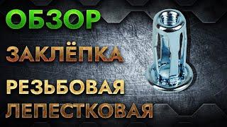 Заклепка резьбовая лепестковая | Обзор