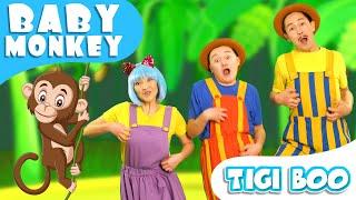 Monkey Banana-Baby Monkey | Baby Shark Songs | Tigi Boo Kids Songs