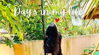 Slice of life | A Day in My 🪴 |Wall Art Unboxing ️ | DIY Easy Homemade Hibiscus Herbal Hair oil