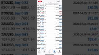 Best Forex Signals Service
