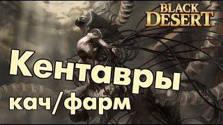 Black Desert (RU) - Кентавры 59+ фарм пояса и дорогих камней / Заработок серебра