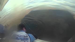 Mackay deepwater fishing 5 hookups!!