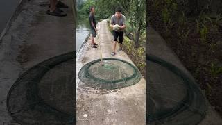 HUGE Fish Trap Catches MONSTER Fish in the River! (2024)