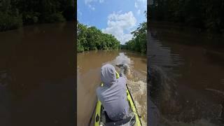 I’m Going To NEED A BIGGER Boat… (SWAMP MONSTER)