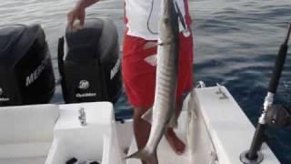 Fishing Adventures #10 - Casting a Monster Kingfish & Trolling Barracuda Queenfish in Abu Dhabi