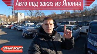 СВЕЖИЙ ПРИВОЗ️ 13.12.2024️АВТО ПОД ЗАКАЗ ИЗ ЯПОНИИ️#автоподбор #автоподзаказизяпонии