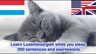 Learn Luxembourgish while you sleep - 300 sentences and expressions (all levels)