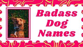 Top 30 Best Badass Dog Names for your Male And Female With Meaning ! Unique Dog Names 2021