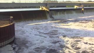 CATCHING A NICE  ONE AT A COON RAPID DAM