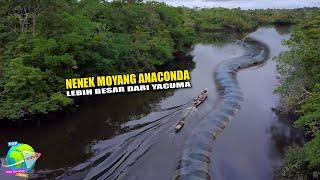 Masih Hidup!! Nenek Moyang Anaconda, Lebih Besar Dari Yacumama!! Ditemukan di Amazon, Panjang 60 M