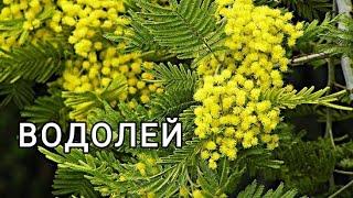 ВОДОЛЕЙ . Таропрогноз на АПРЕЛЬ 2023г.+Бонус - ПОДАРОК этого месяца для Вас. Онлайн гадание.