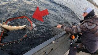 An Old Friend came to fish for Pike on Lough Derg