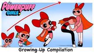 Powerpuff Girl New Growing Up EVOLUTION | Cartoon Wow