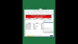 MS EXCEL : BASIC DATA ENTRY USING RECORD MACRO