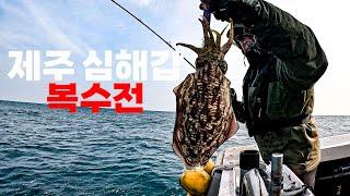 제주도 심해갑오징어 2편 필드에 적응하다.
