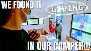 She Wanted Me To Get Rid Of It "HUMANELY"...But Things Got Out Of Hand! | CAMPER RENOVATION