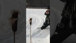 Glock 17 gen5 CO2 slow mo shooting