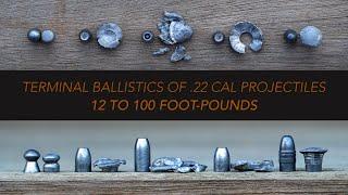 How .22 cal Airgun slugs/pellets expand: 12 to 100 foot pounds! | Clay Ballistics Revisited