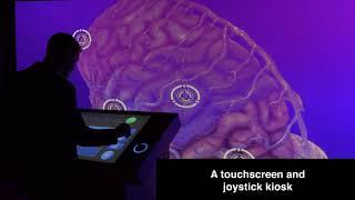 The Brain Odyssey - An interactive science exhibit developed by Ideum and Intervoke