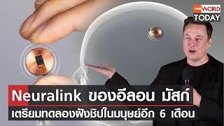 Neuralink ของอีลอน มัสก์ เตรียมทดลองฝังชิปในมนุษย์อีก 6 เดือน l TNN World Today