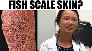 Wild Boar Mystery Skin | Dr. John Gilmore